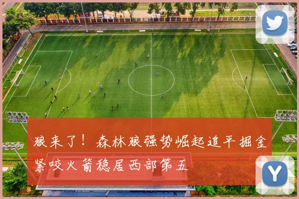 狼来了！森林狼强势崛起追平掘金紧咬火箭稳居西部第五