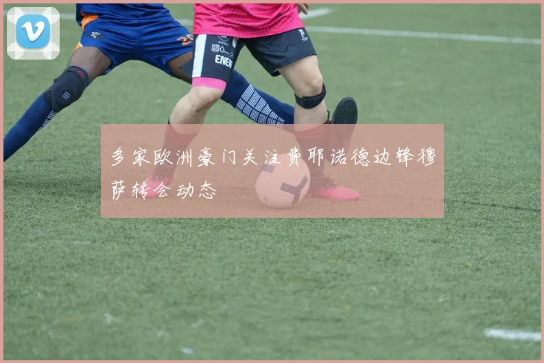 多家欧洲豪门关注费耶诺德边锋穆萨转会动态