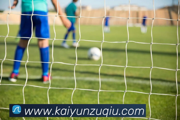 App Interface Preview