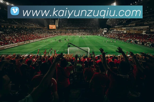 开云足球APP 封面图